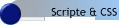 Scripte & CSS
